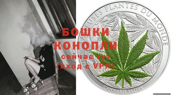 дживик Алексин