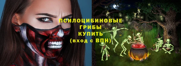 дживик Алексин